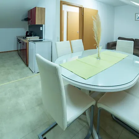Guest house Silva 3*